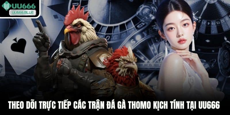Theo dõi trực tiếp các trận đá gà Thomo kịch tính tại UU666